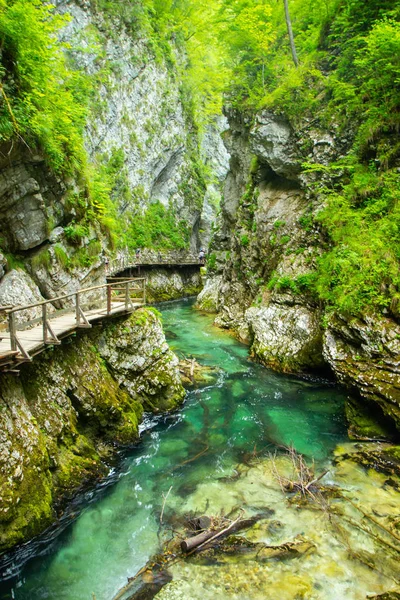 Vintgar Gorge - famous walk in Slovenia, Julian Alps — Stock Photo, Image