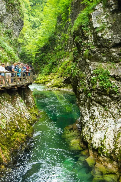 Vintgar Gorge - famous walk in Slovenia, Julian Alps