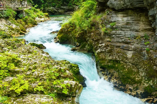 Vintgar Gorge - Slovenya, Julian Alps ünlü yürüyüş — Stok fotoğraf