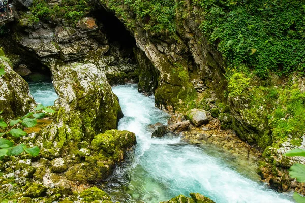 Vintgar Gorge - famosa caminhada na Eslovênia, Julian Alps — Fotografia de Stock