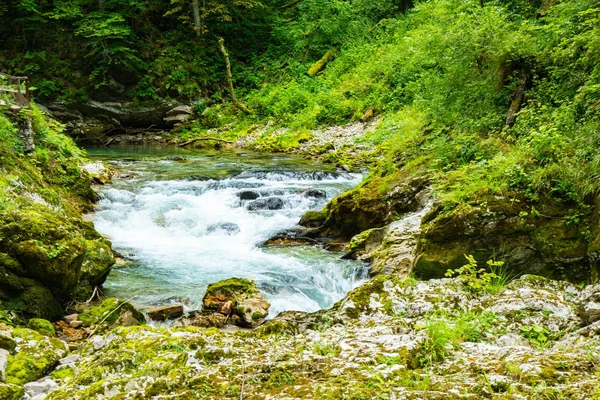 Vintgar Gorge - Slovenya, Julian Alps ünlü yürüyüş — Stok fotoğraf