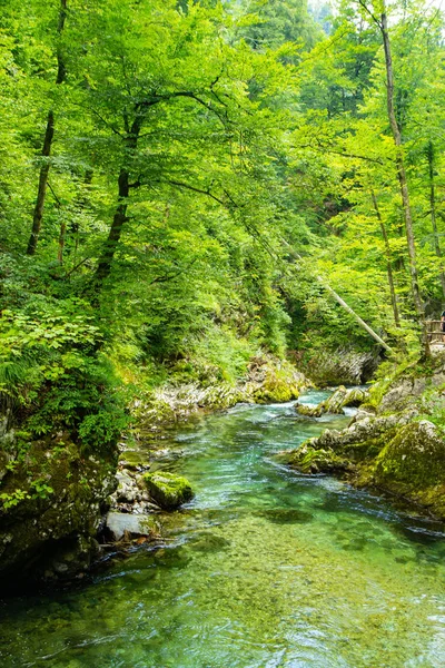 ヴィントガー渓谷 - スロベニアの有名な散歩、ジュリアンアルプス — ストック写真