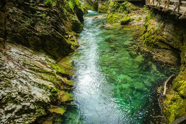 Vintgar Gorge-híres séta Szlovéniában, Júliai-Alpokban — Stock Fotó