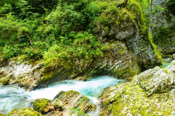 Vintgar Gorge-beroemde wandeling in Slovenië, Julische Alpen — Stockfoto