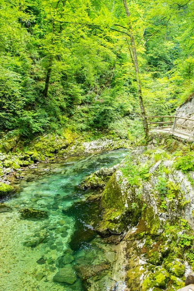 Vintgar Gorge - famous walk in Slovenia, Julian Alps — Stock Photo, Image