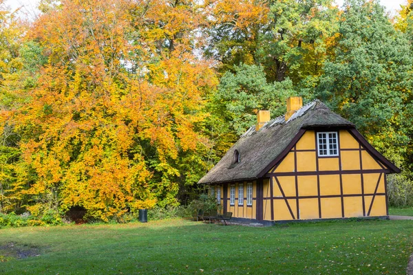 Ancienne maison à colombages avec toit de chaume à Charlottenlund, Danemark — Photo