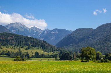 Triglav Milli Parkı'nda dağların yaz güneşli sahne