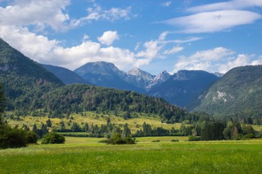 Triglav Milli Parkı'nda dağların yaz güneşli sahne