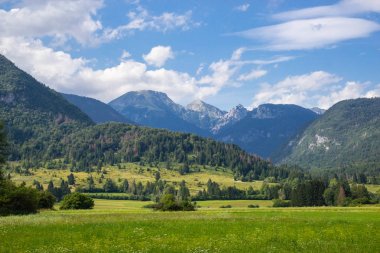 Triglav Milli Parkı'nda dağların yaz güneşli sahne
