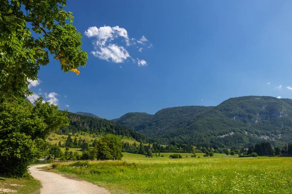 Escena soleada de verano de montañas en el Parque Nacional Triglav —  Fotos de Stock