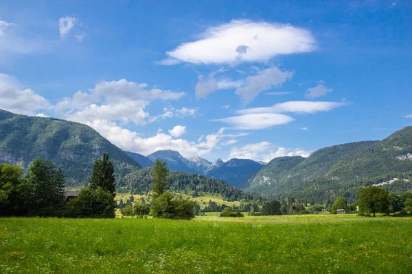 Sommar solig scen av berg i Triglav nationalpark — Stockfoto