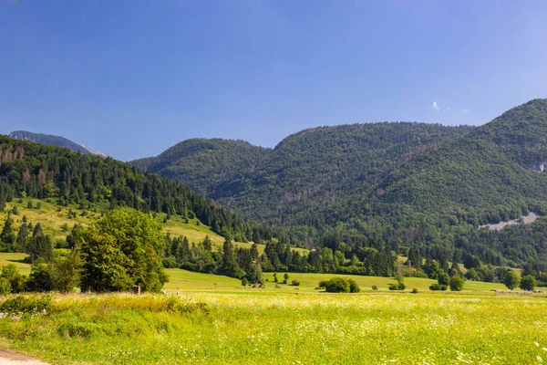 Letnia słoneczna scena gór w parku narodowym Triglav — Zdjęcie stockowe