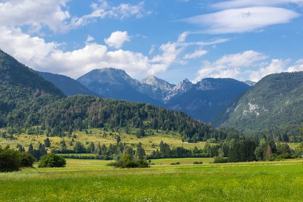Summer sunny scene of mountains in Triglav National Park Royalty Free Stock Images