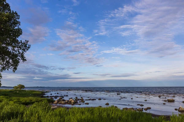 Вид на узбережжя Балтійського моря, Сконе, Швеція — стокове фото