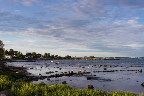 Вид на узбережжя Балтійського моря, Сконе, Швеція — стокове фото