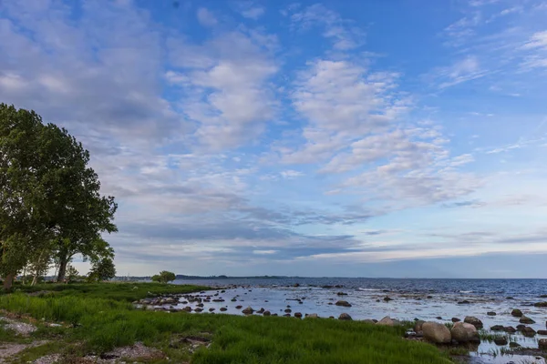 Вид на побережье Балтийского моря, регион Скания, Швеция — стоковое фото