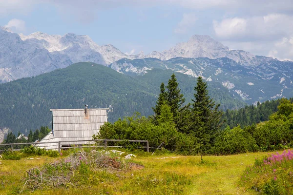 Slovenya 'daki Velika planinasında ahşap ev — Stok fotoğraf