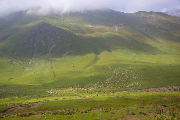 Gürcü Askeri Yolu boyunca Kafkas dağlarının görünümü