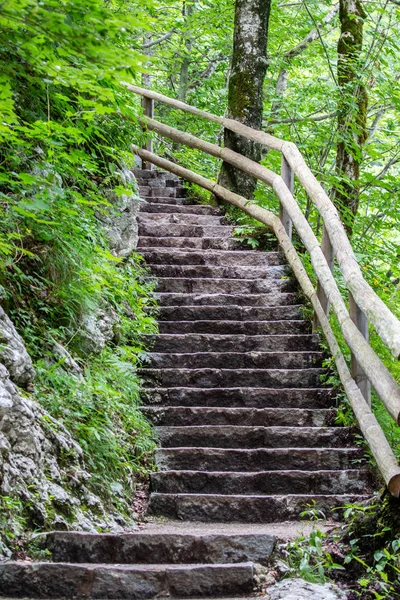 Каменная лестница в лесу в Триглавском национальном парке, Словения — стоковое фото