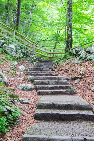 Escaleras de piedra en un bosque en el Parque Nacional de Triglav, Eslovenia —  Fotos de Stock