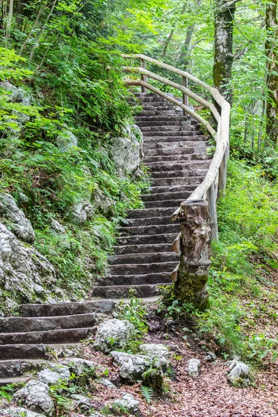 Каменная лестница в лесу в Триглавском национальном парке, Словения — стоковое фото