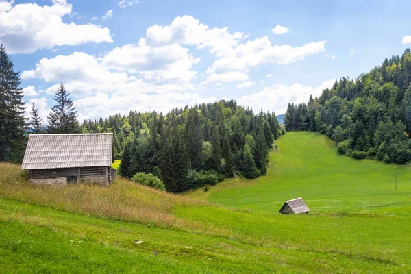 Beautiful Pastures of Triglav National Park, Slovenia — Stock Photo, Image