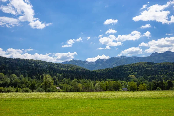 A Triglav Nemzeti Park gyönyörű legelői, Szlovénia — Stock Fotó