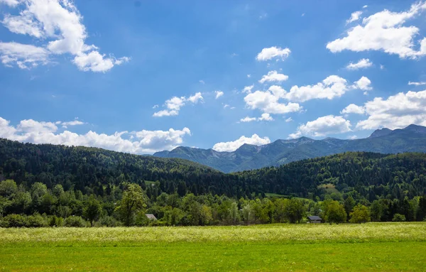 A Triglav Nemzeti Park gyönyörű legelői, Szlovénia — Stock Fotó