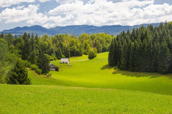 Nádherné pastviny na Triglavský národní park, Slovinsko — Stock fotografie