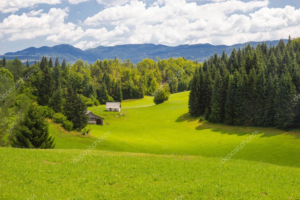Beautiful Pastures of Triglav National Park, Slovenia