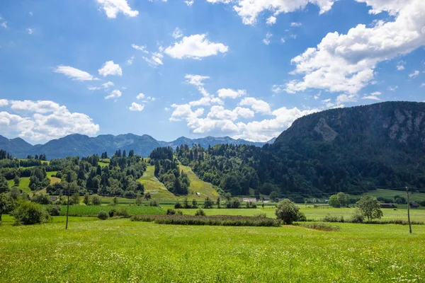 Hermosos pastos del Parque Nacional de Triglav, Eslovenia — Foto de Stock