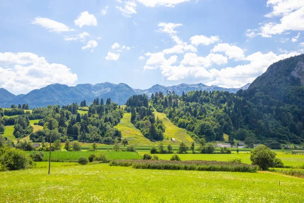 Triglav Milli Parkı'nın güzel otlakları, Slovenya — Stok fotoğraf