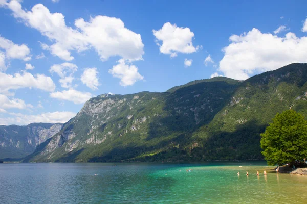 Vista del lago Bohinj, Alpes Julianos, Eslovenia —  Fotos de Stock