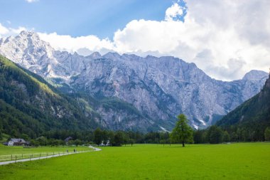 Slovenya'daki ünlü Logar Vadisi manzarası