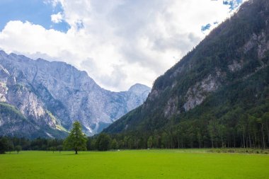 Slovenya'daki ünlü Logar Vadisi manzarası