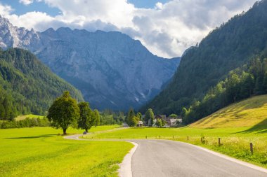 Slovenya'daki ünlü Logar Vadisi manzarası