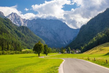 Slovenya'daki ünlü Logar Vadisi manzarası