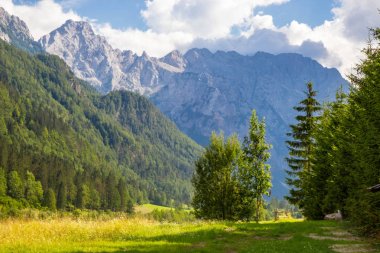 Slovenya'daki ünlü Logar Vadisi manzarası
