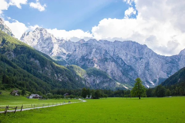 Vy över berömda Logar Valley i Slovenien — Stockfoto