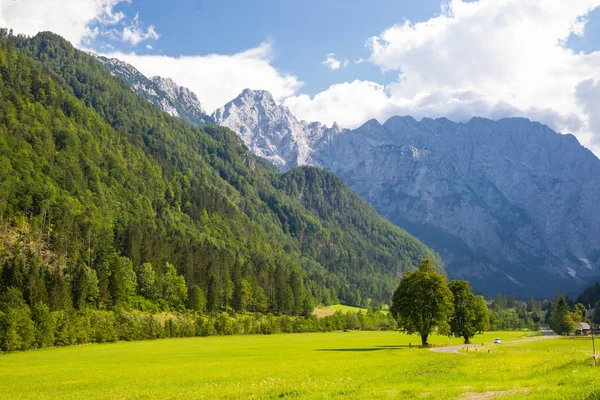 Вид на знаменитую Логарскую долину в Словени — стоковое фото