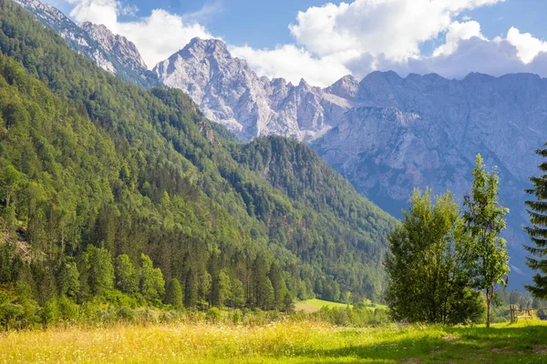 A híres LOGAR-völgy megtekintése Szlovéniában — Stock Fotó
