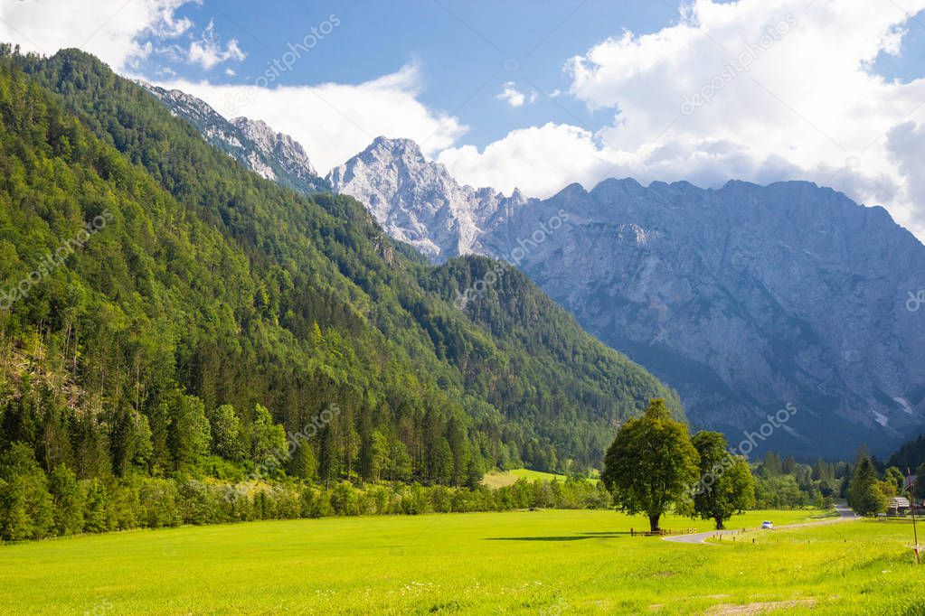 View of famous Logar Valley in Slovenia