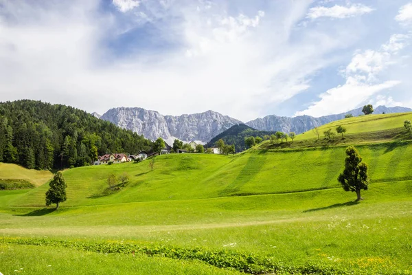 靠近斯洛文尼亚边境的奥地利阿尔卑斯山的绿色牧场 — 图库照片