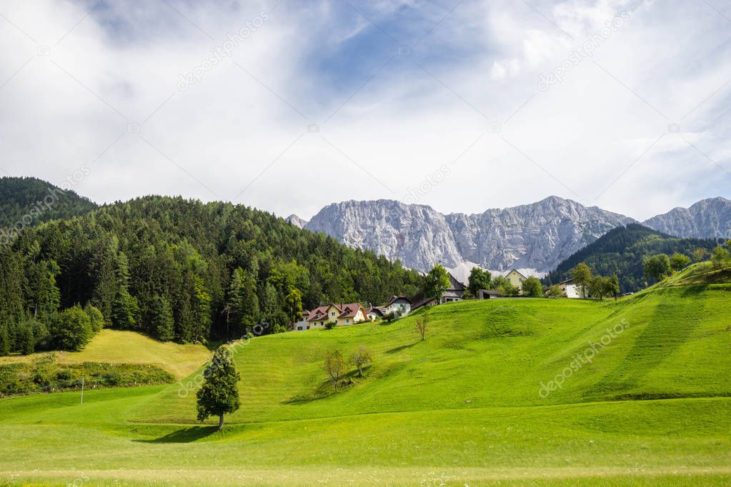 green pasture in Austria alps near border with Slovenia