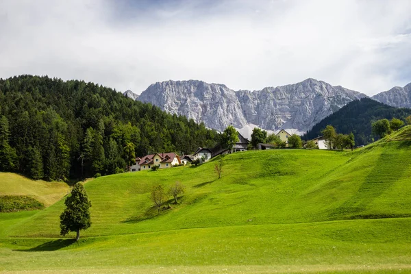 슬로베니아와 국경 근처 오스트리아 알프스에서 녹색 목초지 — 스톡 사진