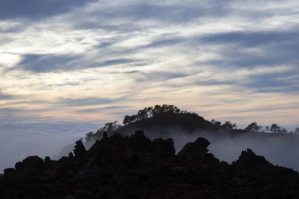 Floresta nebulosa a caminho do vulcão Teide, Tenerife — Fotografia de Stock