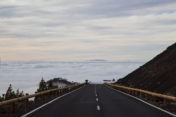 Camino a través de un bosque de niebla en el camino al volcán Teide, Tenerife — Foto de Stock