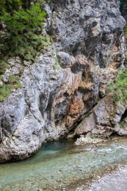 Kuzey Sloven Alpleri'nde Solcava nehri görünümü