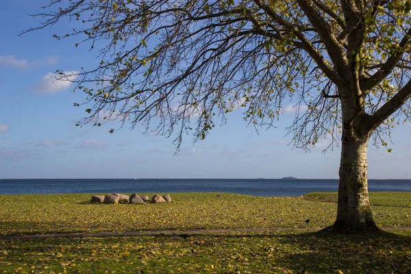 Vista de otoño del parque de la playa de Cherlottenlund, Dinamarca — Foto de Stock