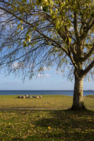 Autunno vista del parco sulla spiaggia di Cherlottenlund, Danimarca — Foto Stock